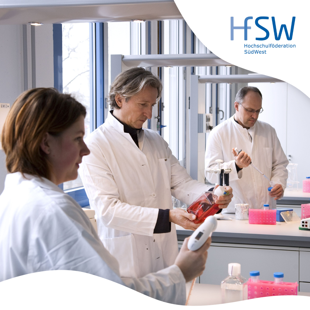 HfSW Beispiel 3